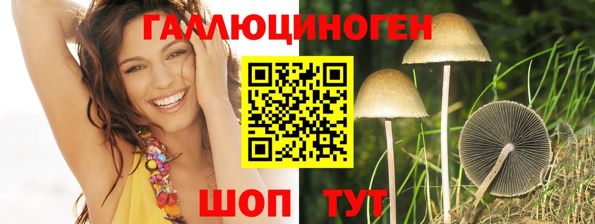 Псилоцибиновые грибы GOLDEN TEACHER  Псилоцибиновые грибы ЛСД  Вход с VPN  Ангарск 