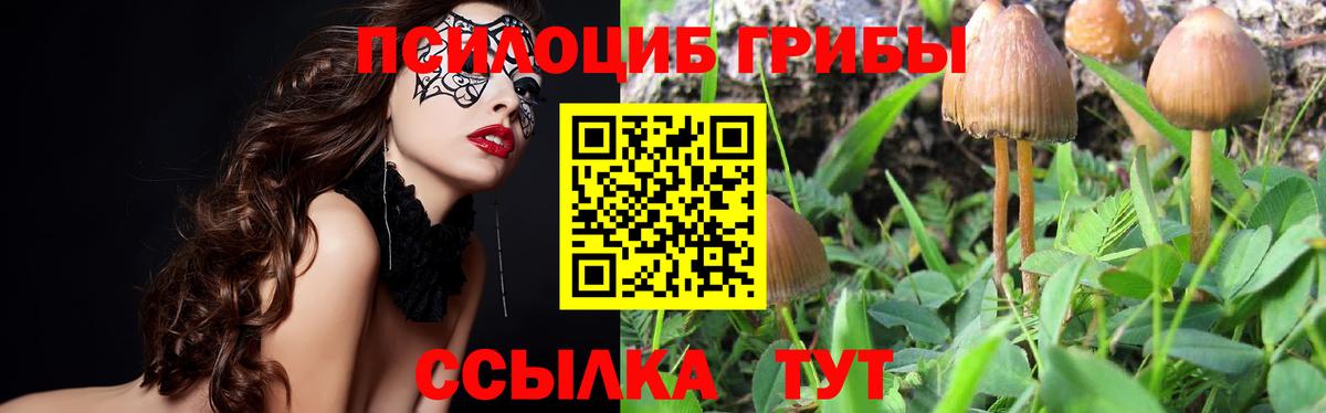 Галлюциногенные грибы MAGIC MUSHROOMS Ангарск